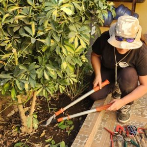 agroparq-jardines-01