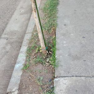 agroparq-jardines-02