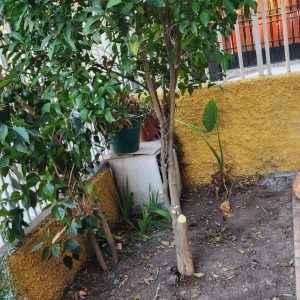 agroparq-jardines-06